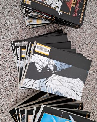 Angel Sanctuary -serie gold