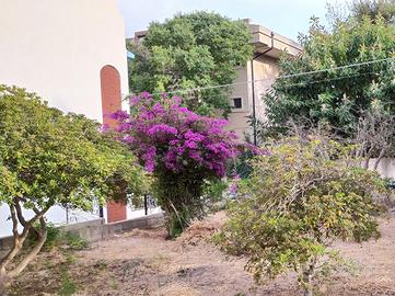 SETTEMBRE 2025 -MARINA MODICA-vicinissima mare