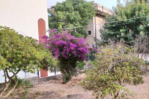 SETTEMBRE 2025 -MARINA MODICA-vicinissima mare