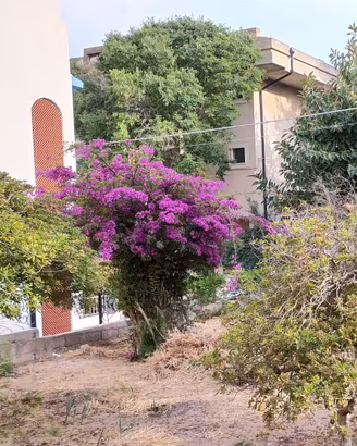 SETTEMBRE 2025 -MARINA MODICA-vicinissima mare