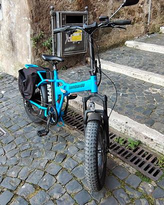 bici pedalata assistita 