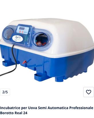 Incubatrice Real barotto 24