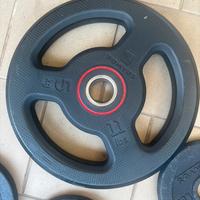 Dischi in ghisa domyos