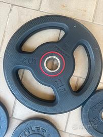 Dischi in ghisa domyos