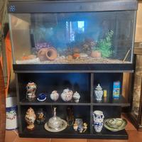 acquario 100 L