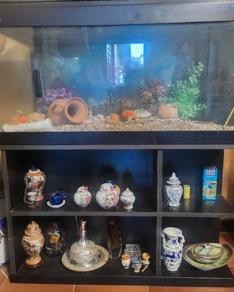 acquario 100 L