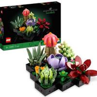 Set da Collezione con 9 Piccole Piante da Interno