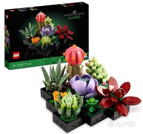Set da Collezione con 9 Piccole Piante da Interno