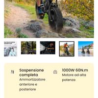 Bici elettrica Fat bike