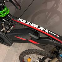 Bicicletta elettrica
