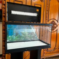 Acquario aquatlantis 60l