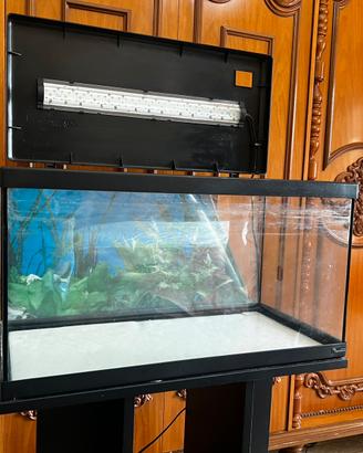 Acquario aquatlantis 60l