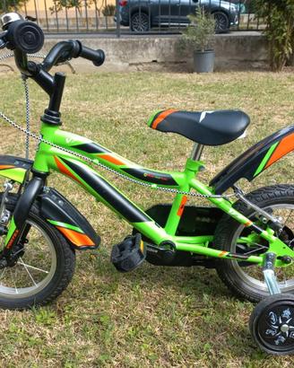 Bicicletta bambino 2/3 anni 