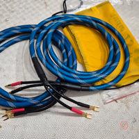 cadi di potenza per diffusori