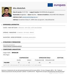 Auoto cuoco e lavapiatti