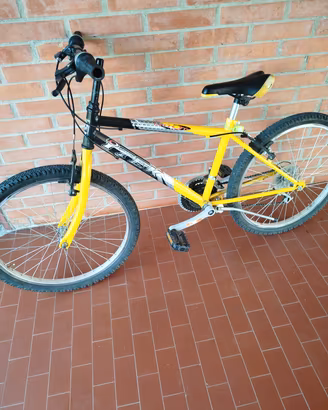 bicicletta  per bombo