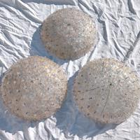 Lampadari/applique/plafoniere in vetro di Murano 