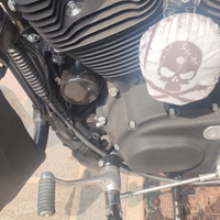 Sportster 1200 XL CB edizione limitata