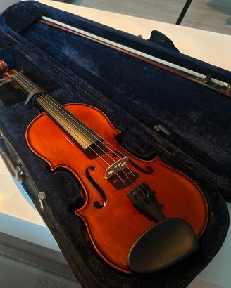 Violino Darius Music 4/4 con arco 3/4