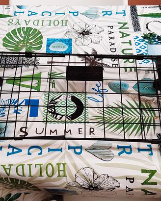 separatore x baule x cani