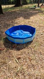 piscina per cani