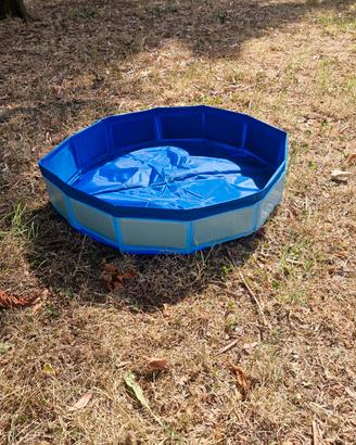 piscina per cani