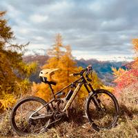 MONDRAKER DUNE RR (L)