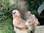 Immagine 2