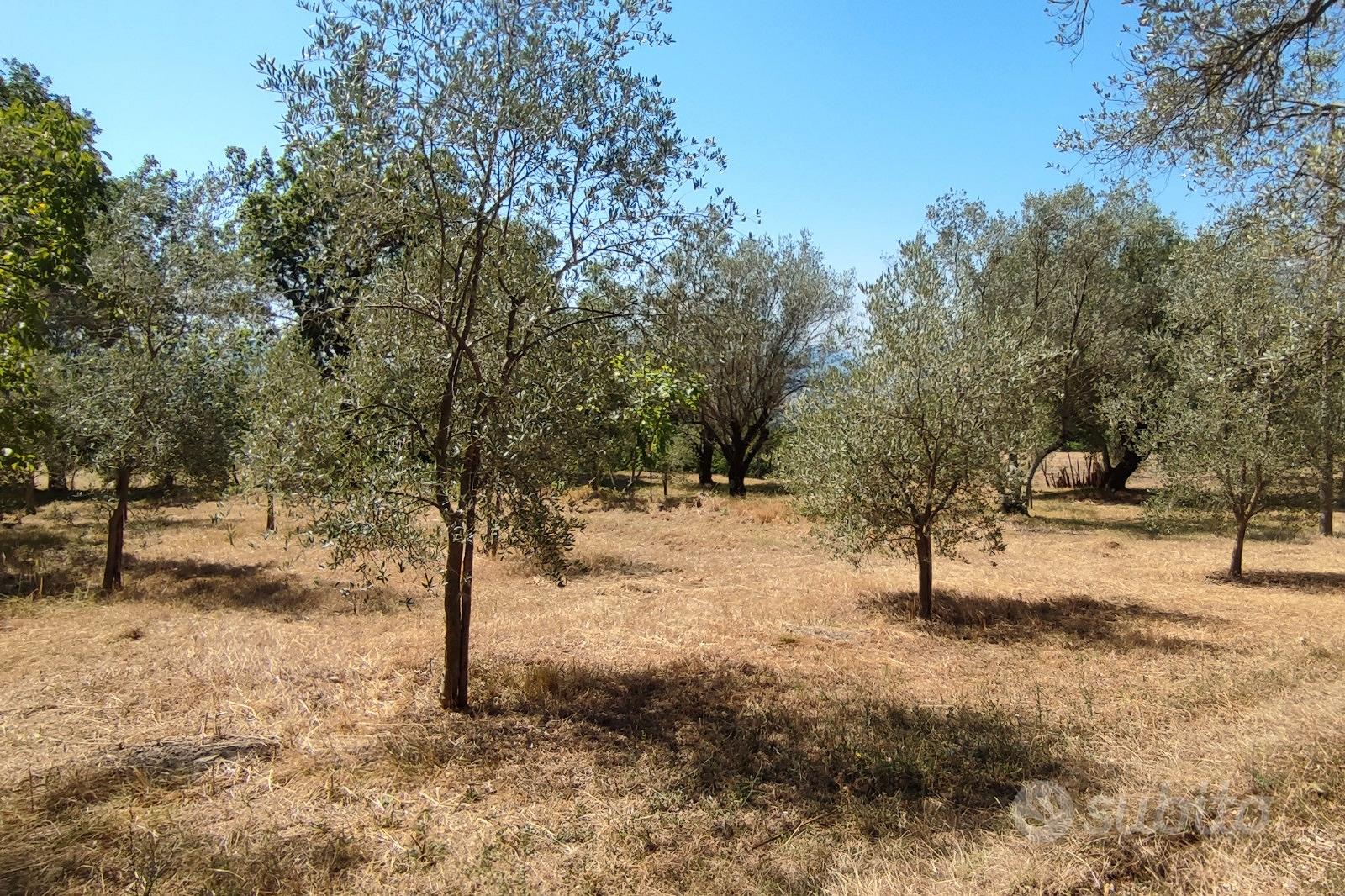 Monolocale via Ospedale, Fontegreca - Altro