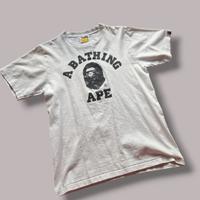 maglia