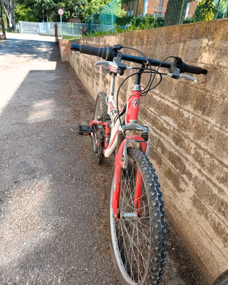 Mountain bike