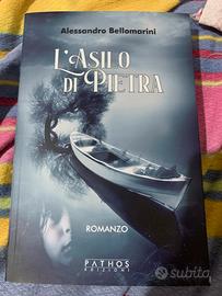 Libro: l’asilo di pietra