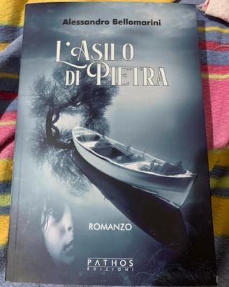Libro: l’asilo di pietra