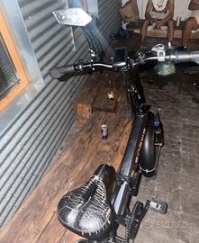 Bici elettrica pesante