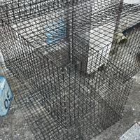 Attrezzatura pesca granchio blu