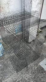 Attrezzatura pesca granchio blu