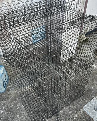 Attrezzatura pesca granchio blu