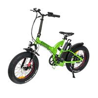 BICICLETTA ELETTRICA 