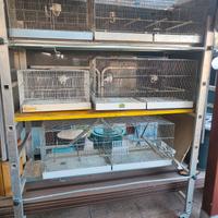 per cessata attività 