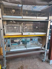 per cessata attività 