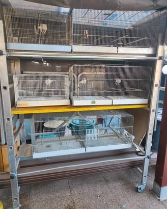 per cessata attività 