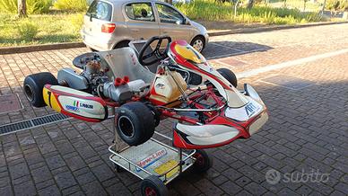 birel  vortex rok GP 125 