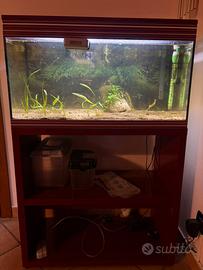 Acquario askoll 100 litri