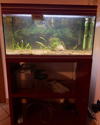 Acquario askoll 100 litri