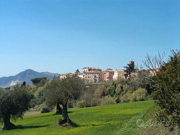 Appartamento molto luminoso