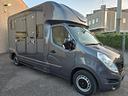 van-trasporto-2-cavalli-renault-master-dci