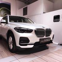 BMW X5 (G05/F95) - X5 xDrive30d 48V Busines