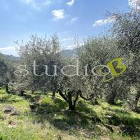 Terreno Agricolo a Seborga