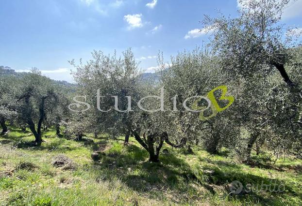 Terreno Agricolo a Seborga