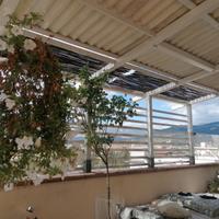 Casa Letizia Firenze - Anno 2026